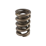 Valve Spring - 1200 Series