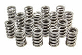 Valve Spring - RPM Series