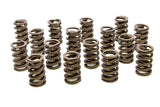 Valve Spring - 1200 Series