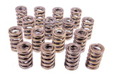 Valve Spring - 1200 Series