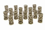 Valve Spring - RPM Series