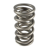 Valve Spring - RPM Series