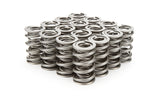 Valve Spring - RPM Series