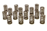 Valve Spring - RPM Series