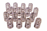 Valve Spring - 1200 Series