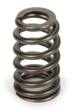 Valve Spring - 1200 Series