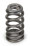 Valve Spring - RPM Series