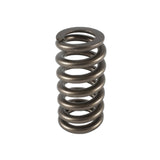 Valve Spring - 1200 Series