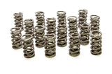 Valve Spring - RPM Series