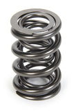 Valve Spring - 1200 Series