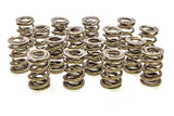 Valve Spring - 1200 Series