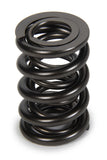 Valve Spring - 1200 Series