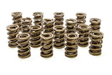 Valve Spring - 1200 Series