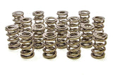 Valve Spring - 1200 Series