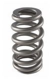 Valve Spring - RPM Series