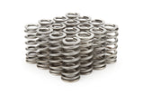 Valve Spring - RPM Series