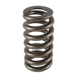 Valve Spring - 1200 Series