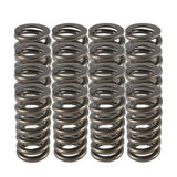 Valve Spring - 1200 Series