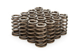 Valve Spring - 1200 Series