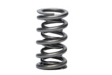 Valve Spring - RPM Series