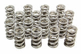 Valve Spring - RPM Series