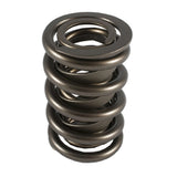 Valve Spring - 1200 Series