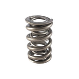 Valve Spring - 1200 Series