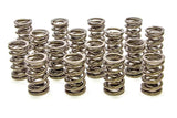 Valve Spring - 1200 Series