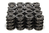 Valve Spring - 1200 Series