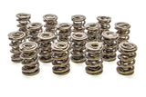 Valve Spring - 1200 Series