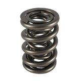 Valve Spring - 1200 Series