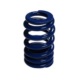 Valve Spring - RPM Series