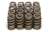 Valve Spring - 1200 Series