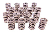 Valve Spring - 1200 Series