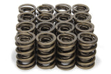 Valve Spring - RPM Series