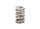 Valve Spring - 1300 Series