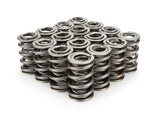 Valve Spring - 1300 Series