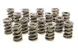 Valve Spring - 1300 Series