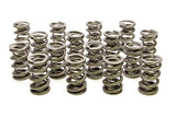 Valve Spring - 1300 Series