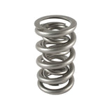 Valve Spring - 1300 Series