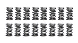 Valve Spring - 1300 Series