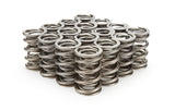 Valve Spring - 1300 Series