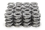 Valve Spring - 1300 Series