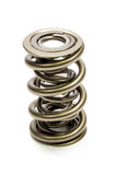 Valve Spring - 1300 Series