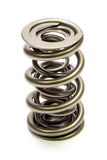 Valve Spring - 1300 Series