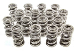 Valve Spring - 1300 Series