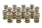 Valve Spring - 1300 Series