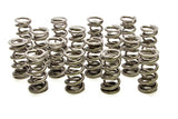 Valve Spring - 1300 Series