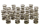 Valve Spring - 1300 Series