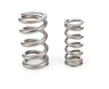 Valve Spring - 1300 Series